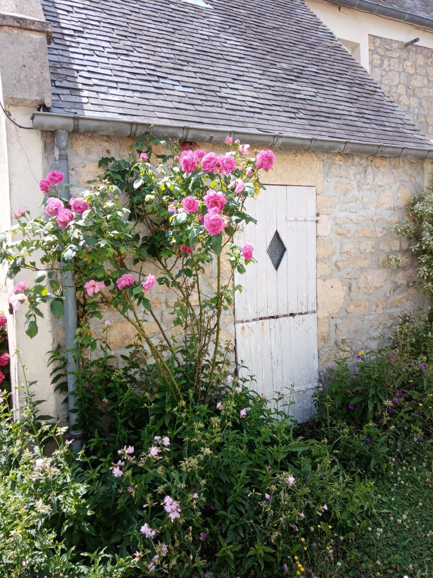 Bed and Breakfast Rose Garden Bayeux Exterior foto